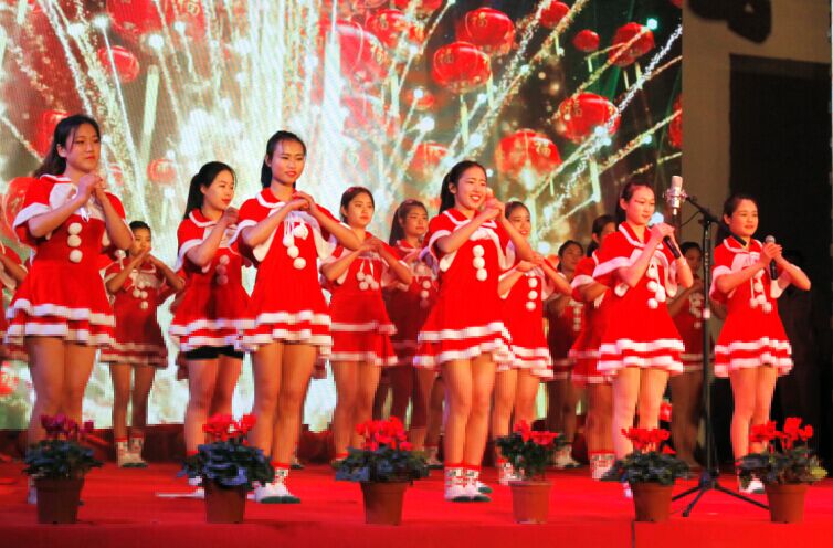 2016   元旦快乐