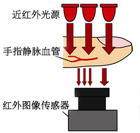 欧华尊邸指静脉锁