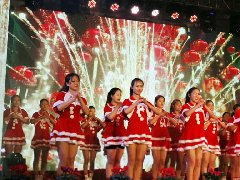 欧华尊邸恭祝元旦快乐！