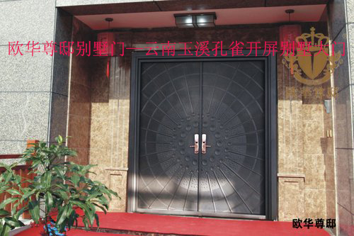 买门就要买正牌门？