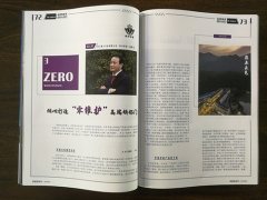 倾心打造“零维护”高端铸铝门